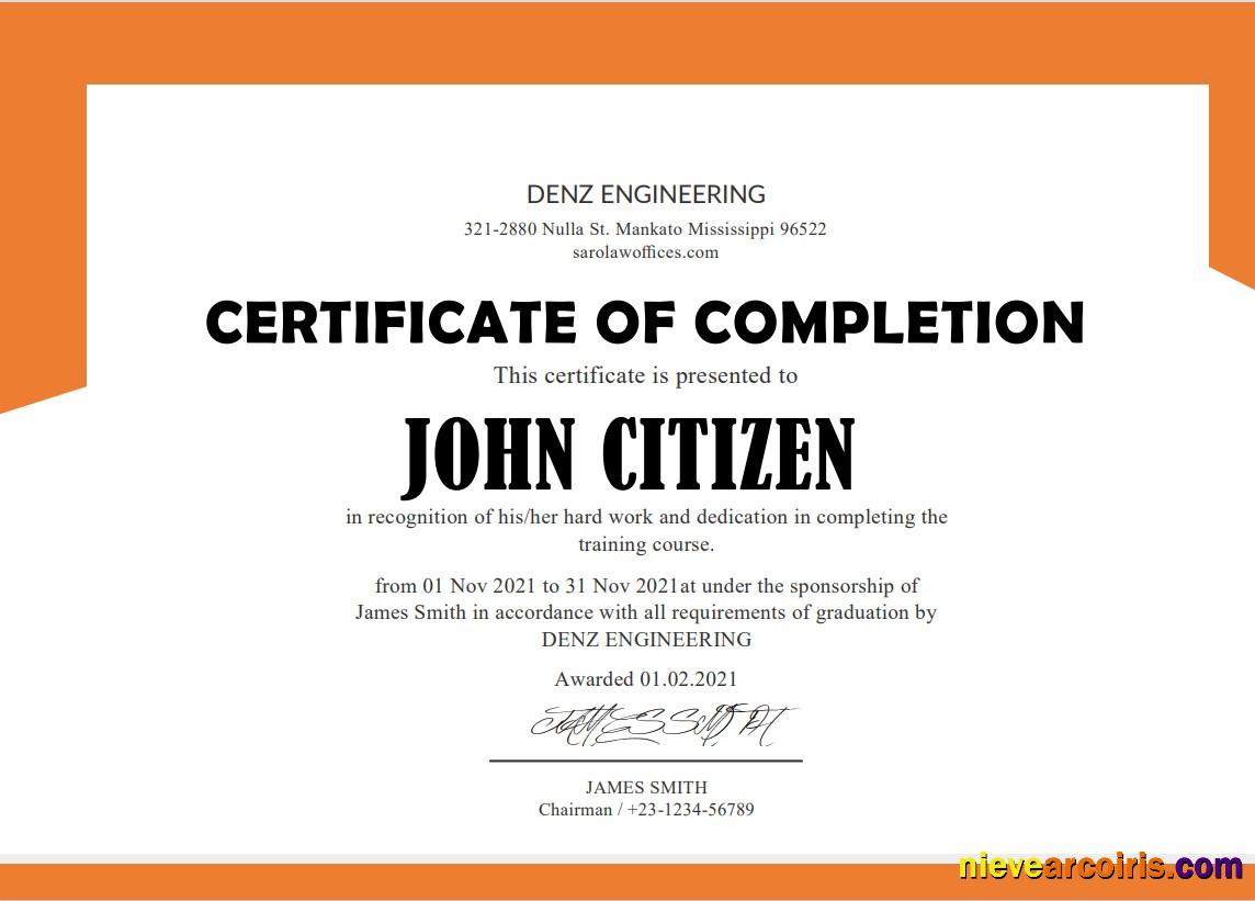 USA Denz Engineering Internship certificate